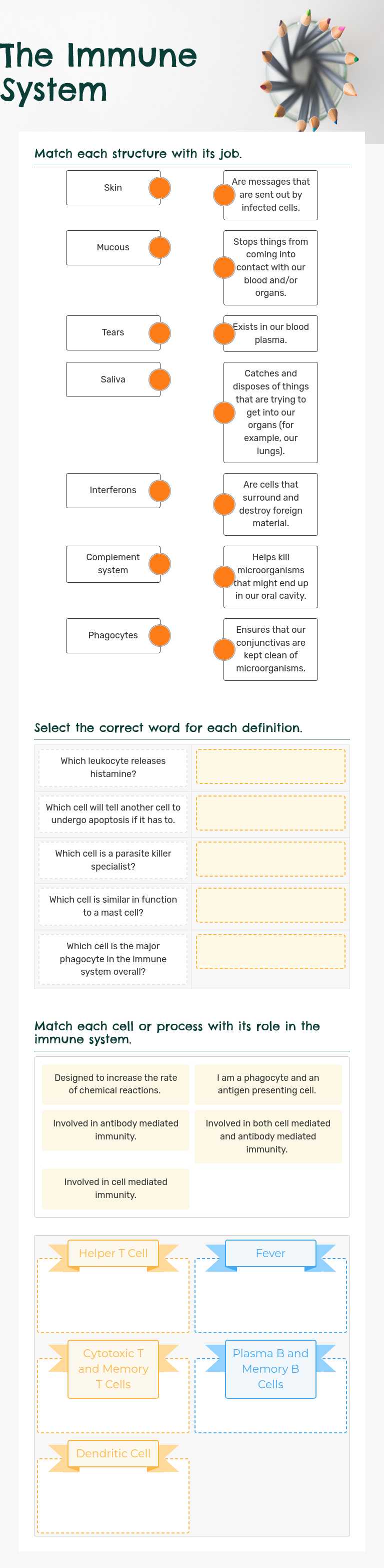 The Immune System worksheet preview image