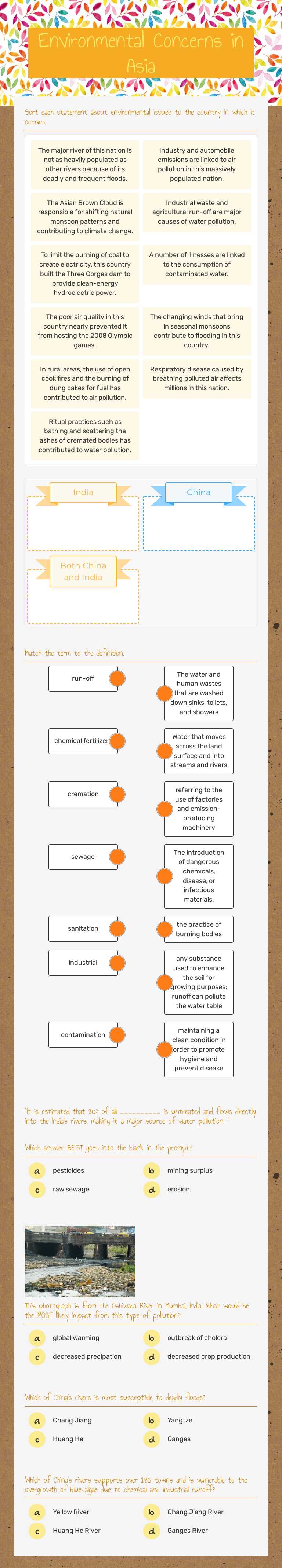 Environmental Concerns in Asia worksheet preview image