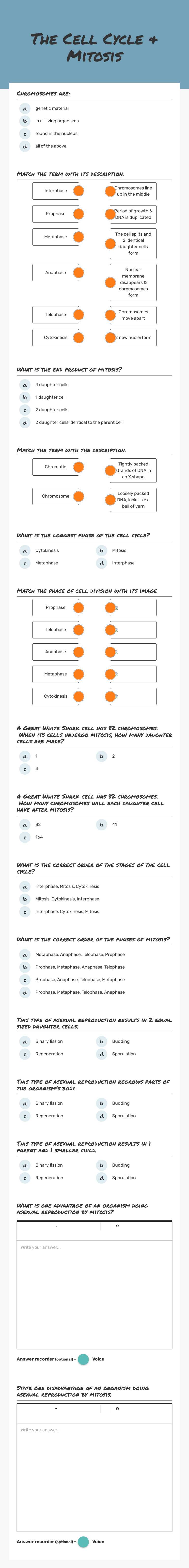 The Cell Cycle & Mitosis worksheet preview image