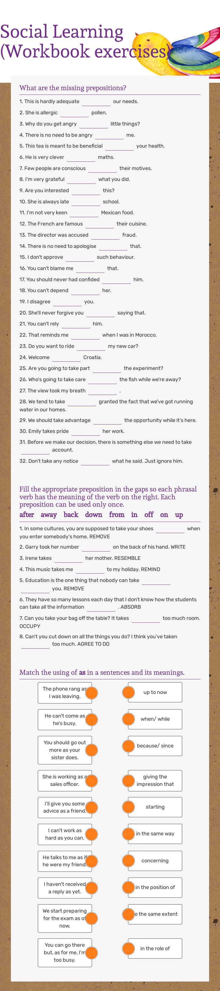 Social Learning (Workbook exercises) worksheet preview image