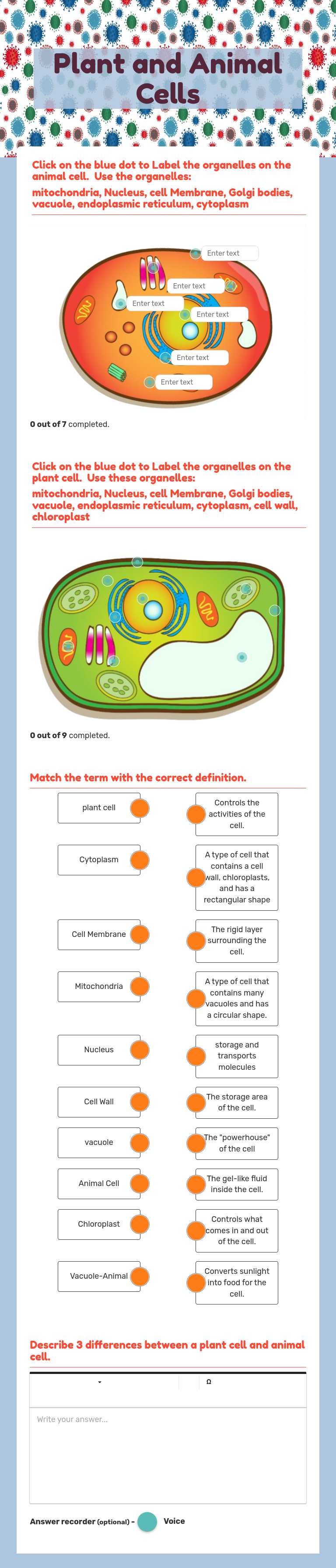 Plant and Animal Cells worksheet preview image