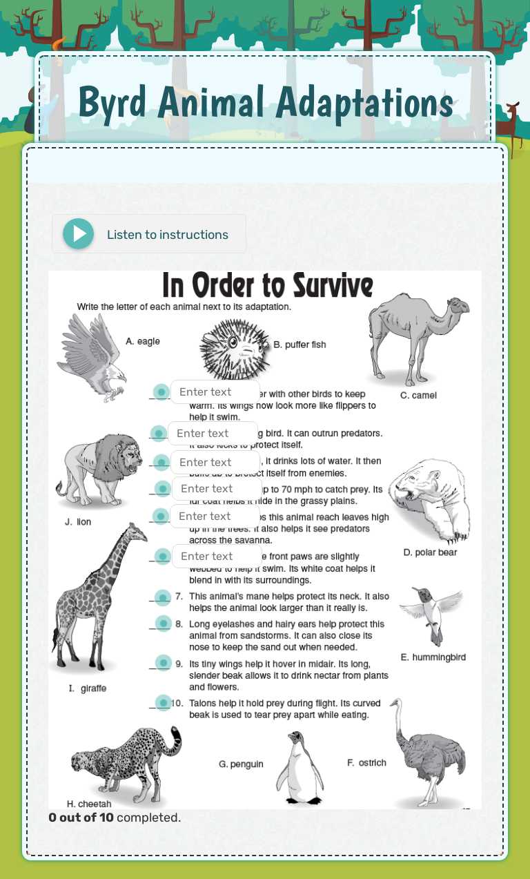 Byrd Animal Adaptations worksheet preview image
