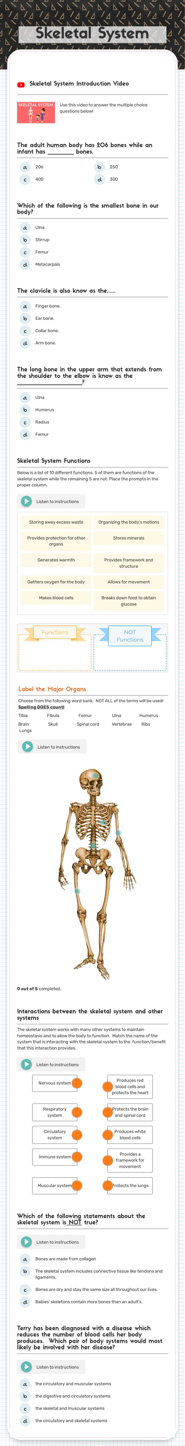Skeletal System worksheet preview image