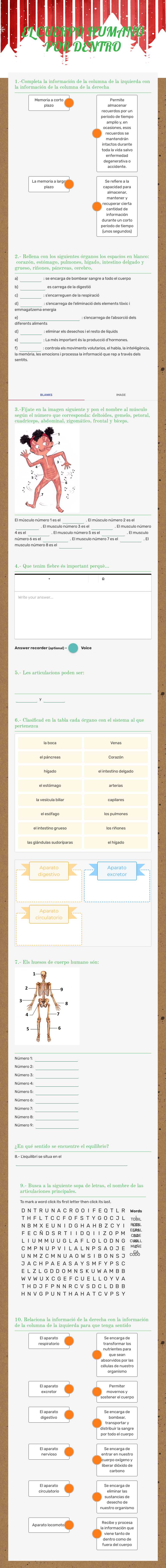 EL CUERPO HUMANO POR DENTRO worksheet preview