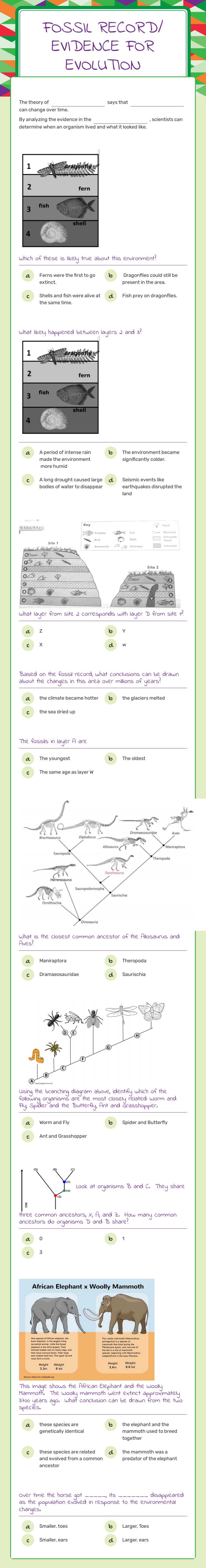Fossil Record/
Evidence for evolution worksheet preview image