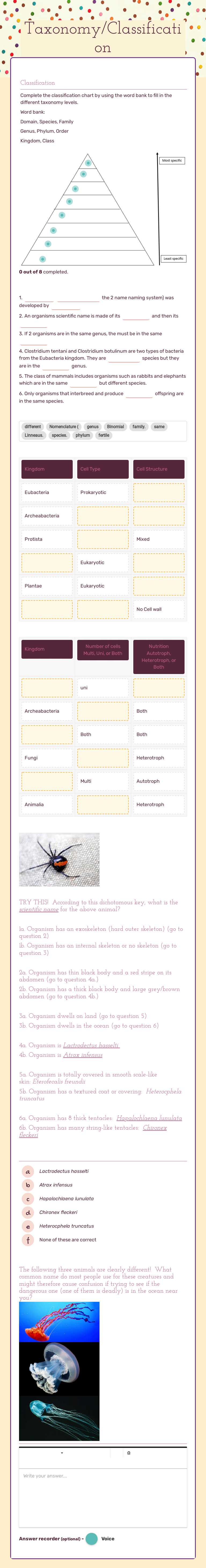 Taxonomy/Classification worksheet preview image