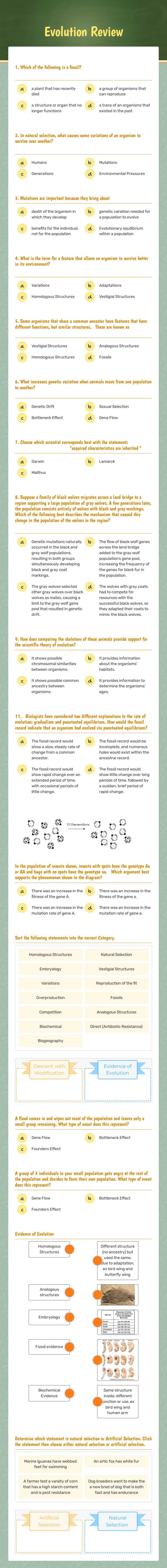 Evolution Review Grade 9 worksheet preview