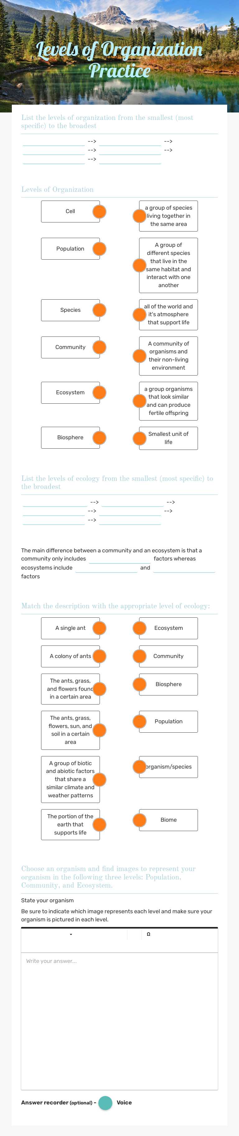 Levels of Organization Practice worksheet preview image