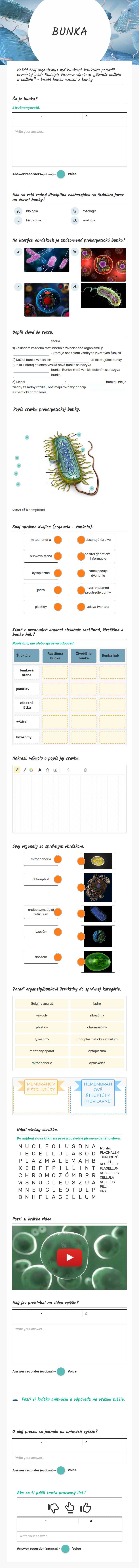 BUNKA worksheet preview image