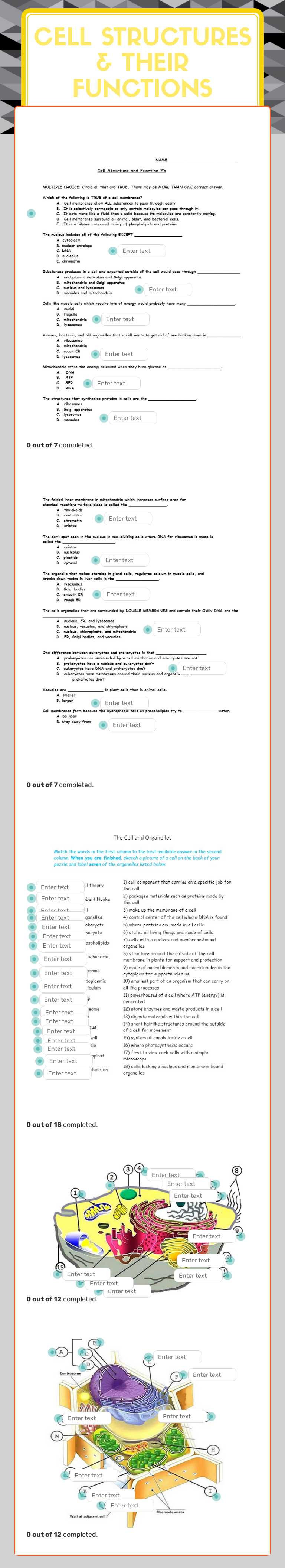 Cell Structures & Their Functions Grade 10 worksheet preview
