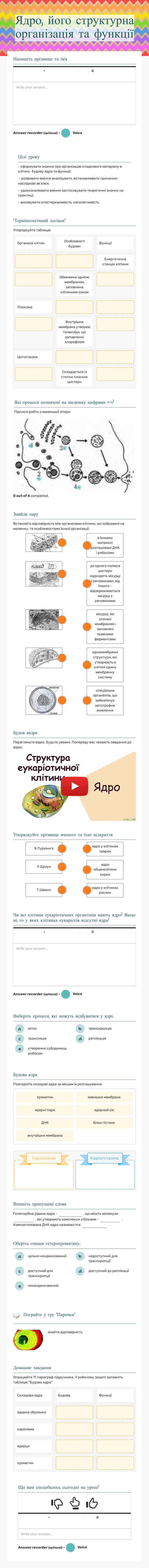 Ядро, його структурна організація та функції worksheet preview image