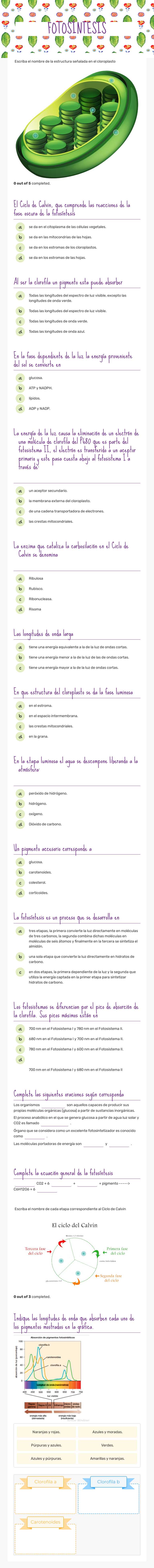 FOTOSÍNTESIS worksheet preview