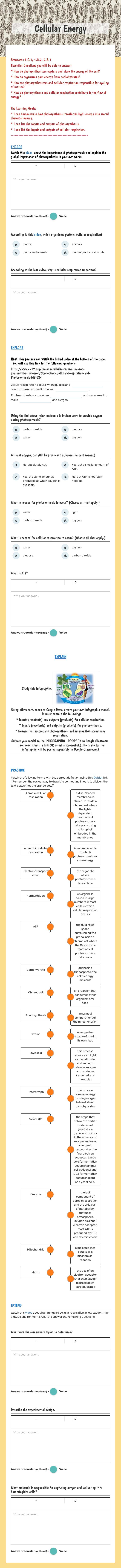 Cellular Energy Grade 11 worksheet preview