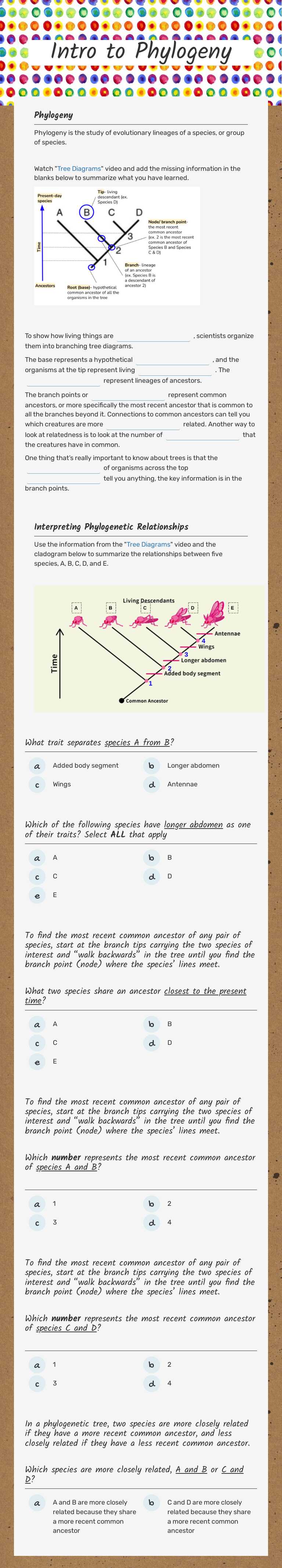 Intro to Phylogeny worksheet preview image