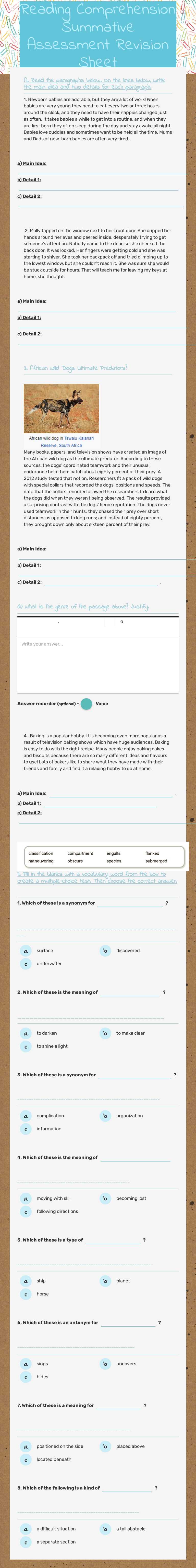 Reading Comprehension Summative Assessment Revision Sheet worksheet preview image