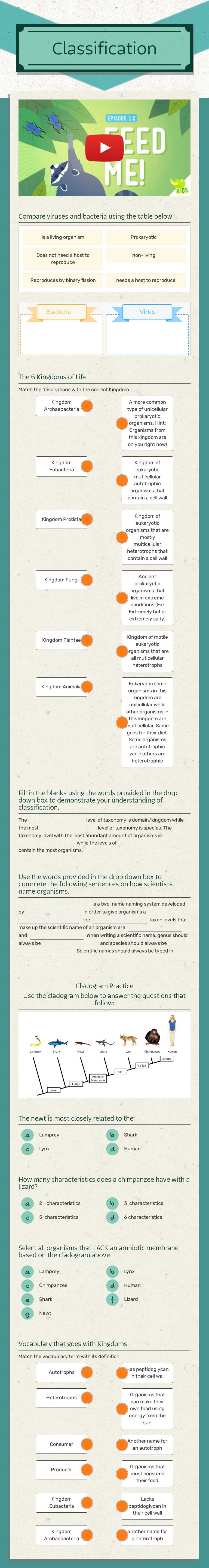 Classification worksheet preview image
