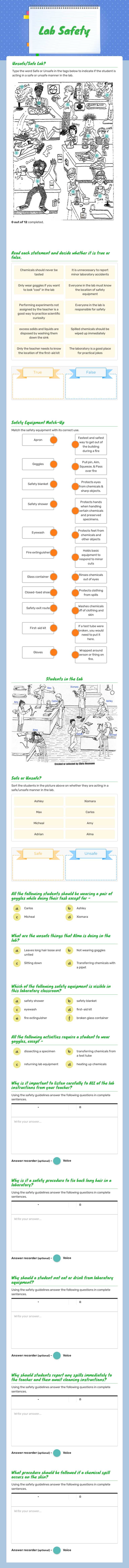 Lab Safety worksheet preview image