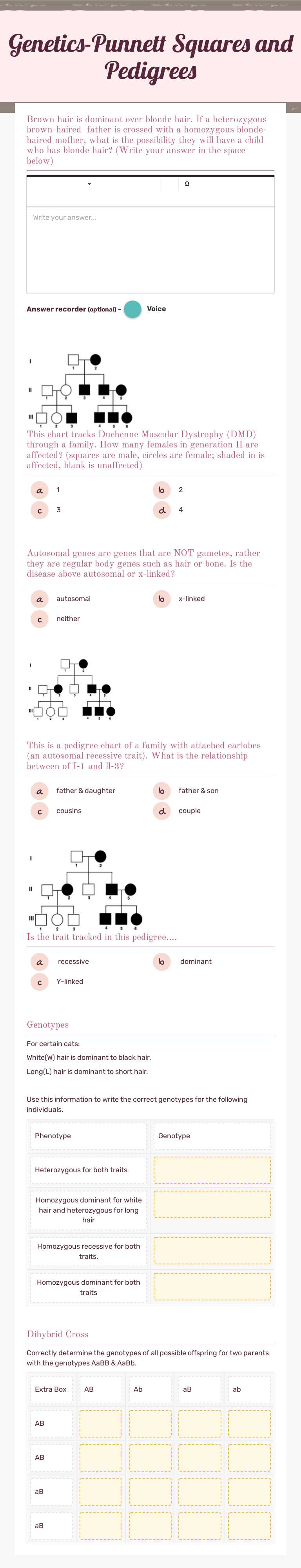 Genetics-Punnett Squares and Pedigrees worksheet preview image