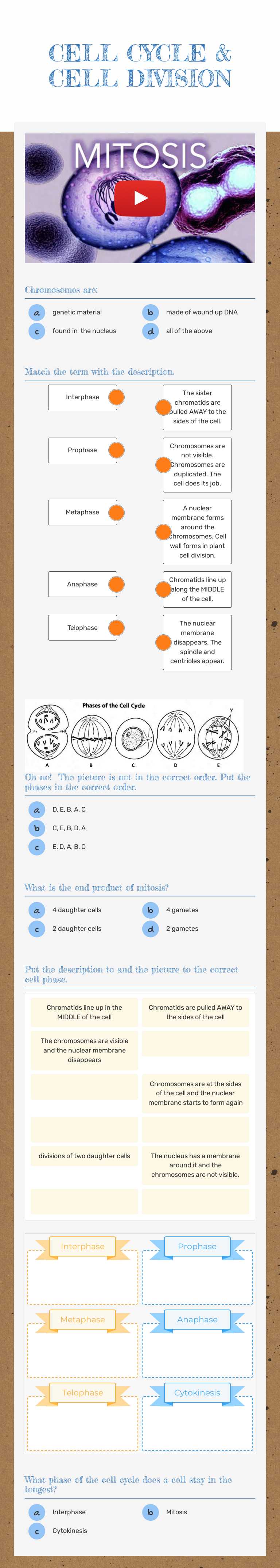 CELL CYCLE & CELL DIVISION worksheet preview image
