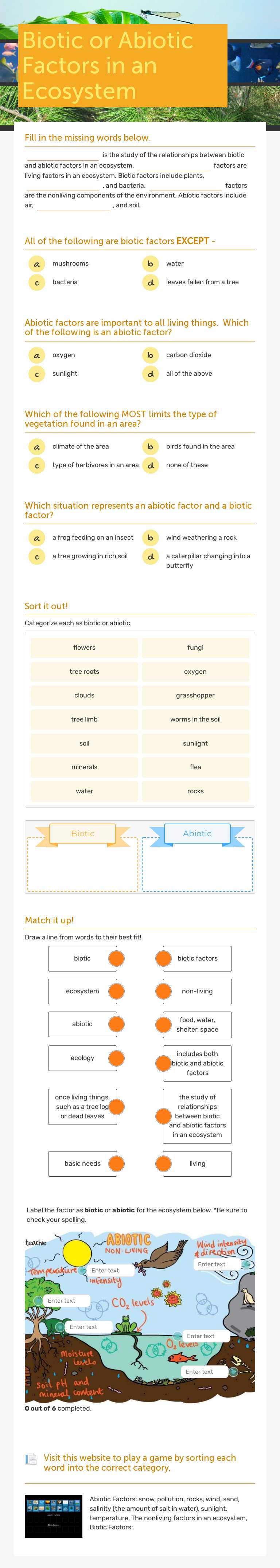 Biotic or Abiotic Factors in an Ecosystem worksheet preview image