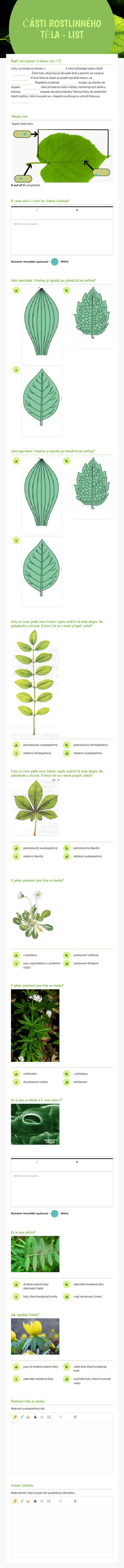 ČÁSTI ROSTLINNÉHO TĚLA - LIST worksheet preview image