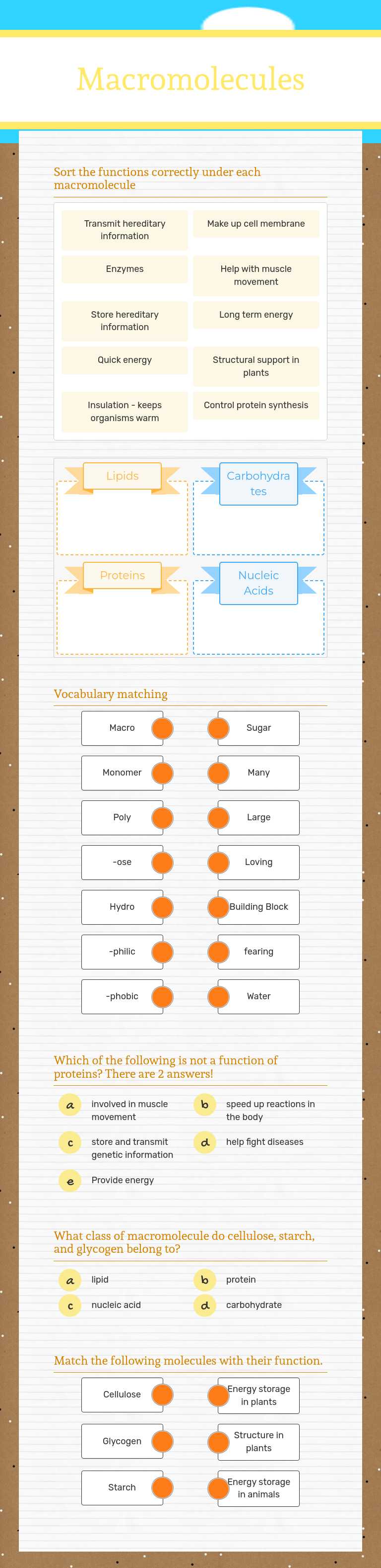 Macromolecules worksheet preview image