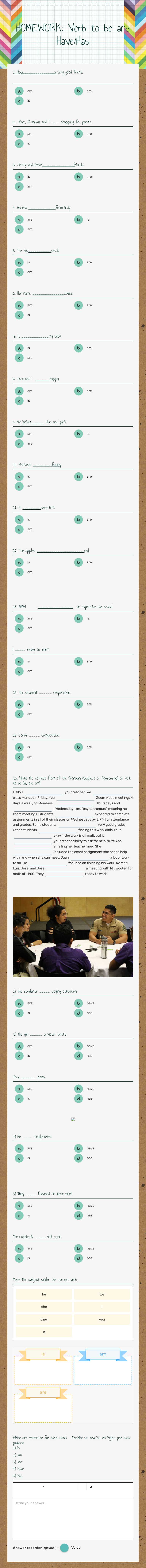 HOMEWORK: Verb to be and Have/Has Grade 12 worksheet preview