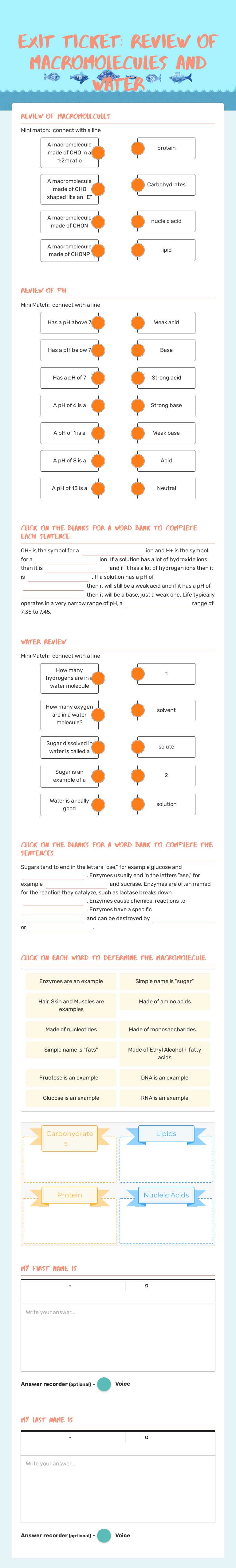 Exit Ticket:  Review of Macromolecules and Water worksheet preview image