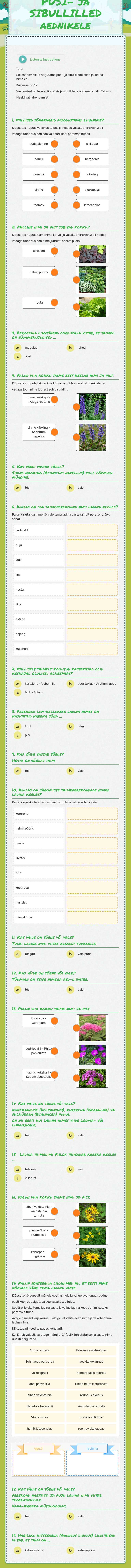 PÜSI- ja  SIBULLILLED aednikele worksheet preview image