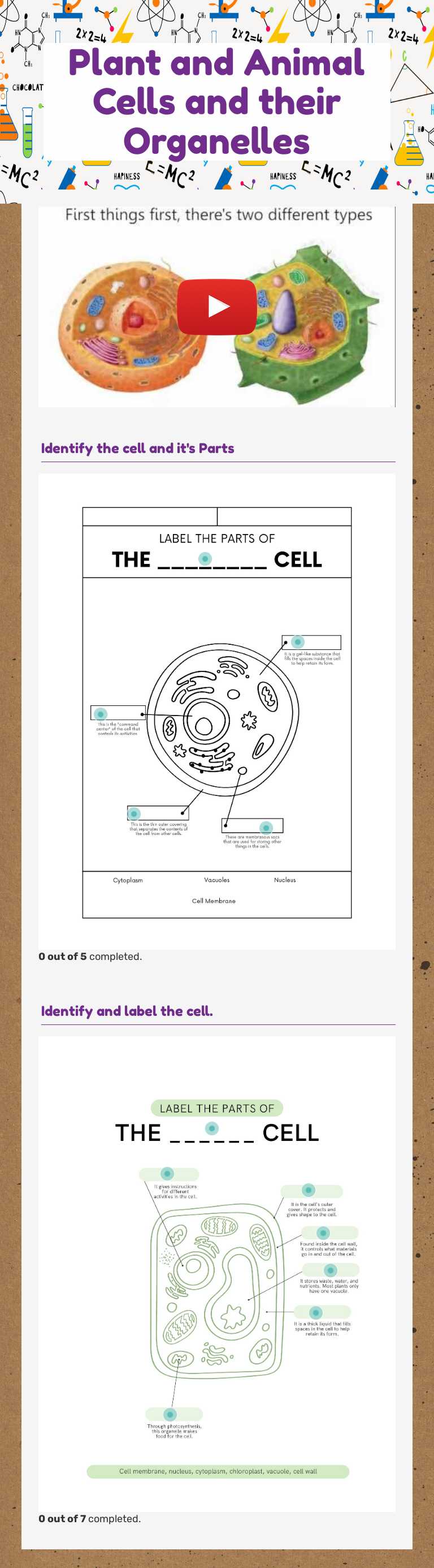 Plant and Animal Cells and their Organelles worksheet preview image