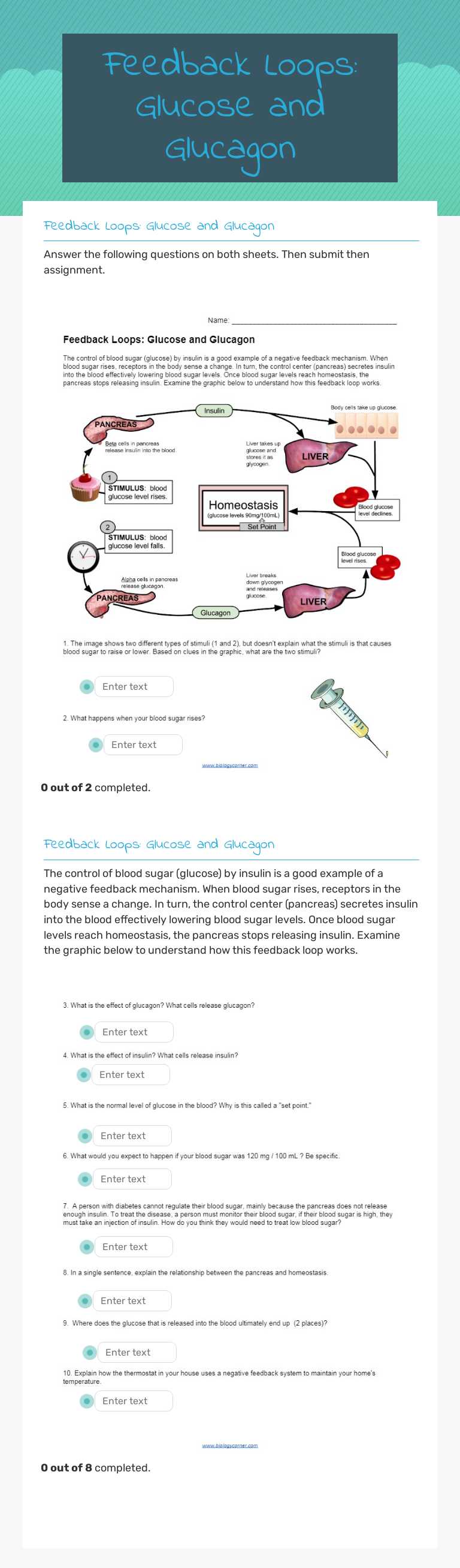 Feedback Loops: Glucose and Glucagon worksheet preview image
