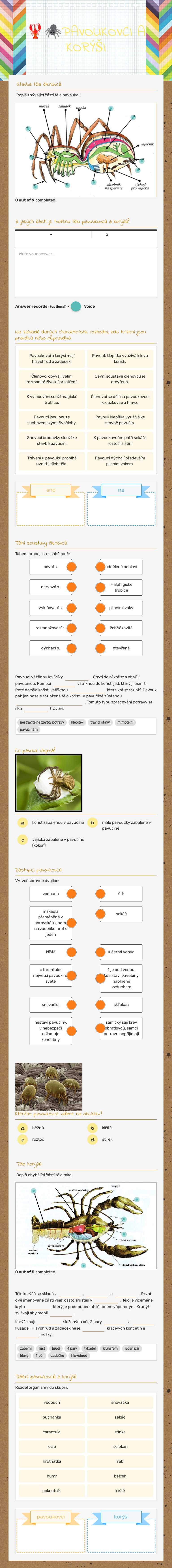 🦞🕷PAVOUKOVCI A KORÝŠI worksheet preview image