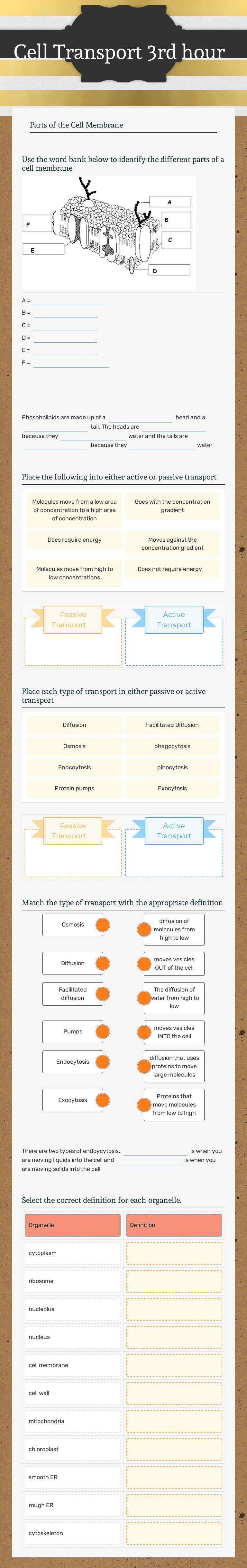Cell Transport 3rd hour worksheet preview image