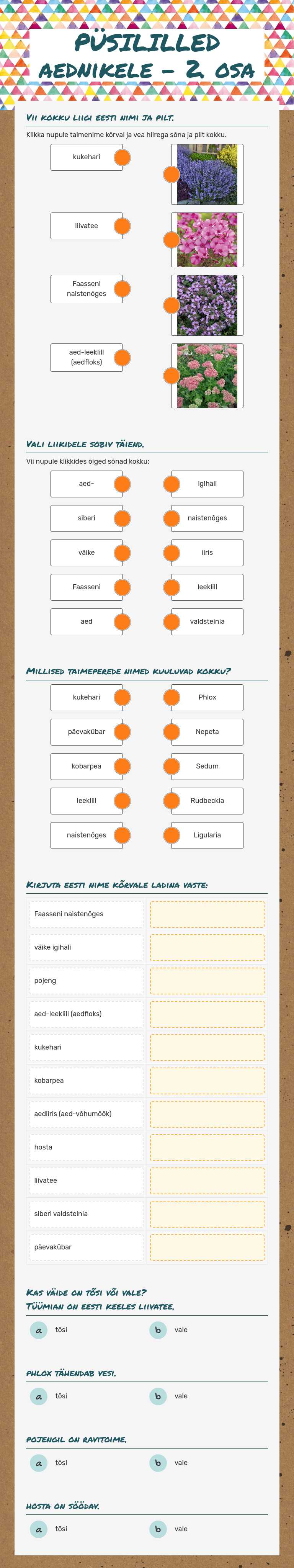 PÜSILILLED aednikele - 2. osa worksheet preview image