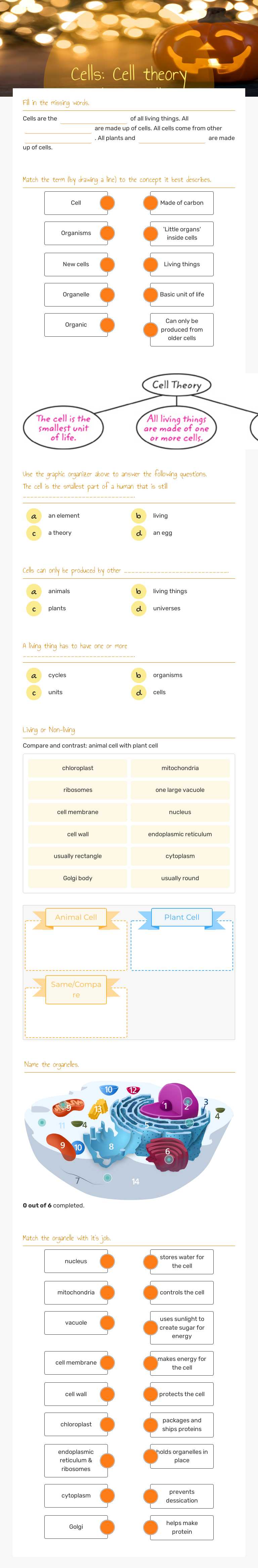 Cells: Cell theory and organelles worksheet preview image