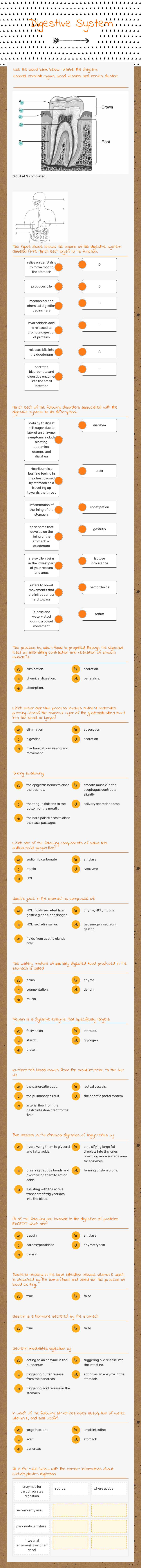 Digestive System worksheet preview image