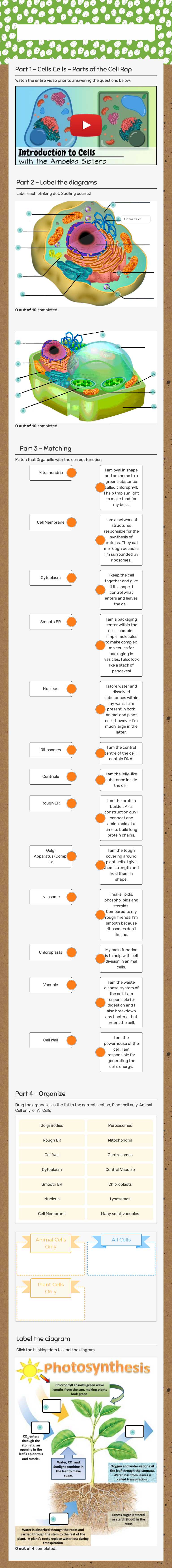 organelles Review Day 1 worksheet preview image