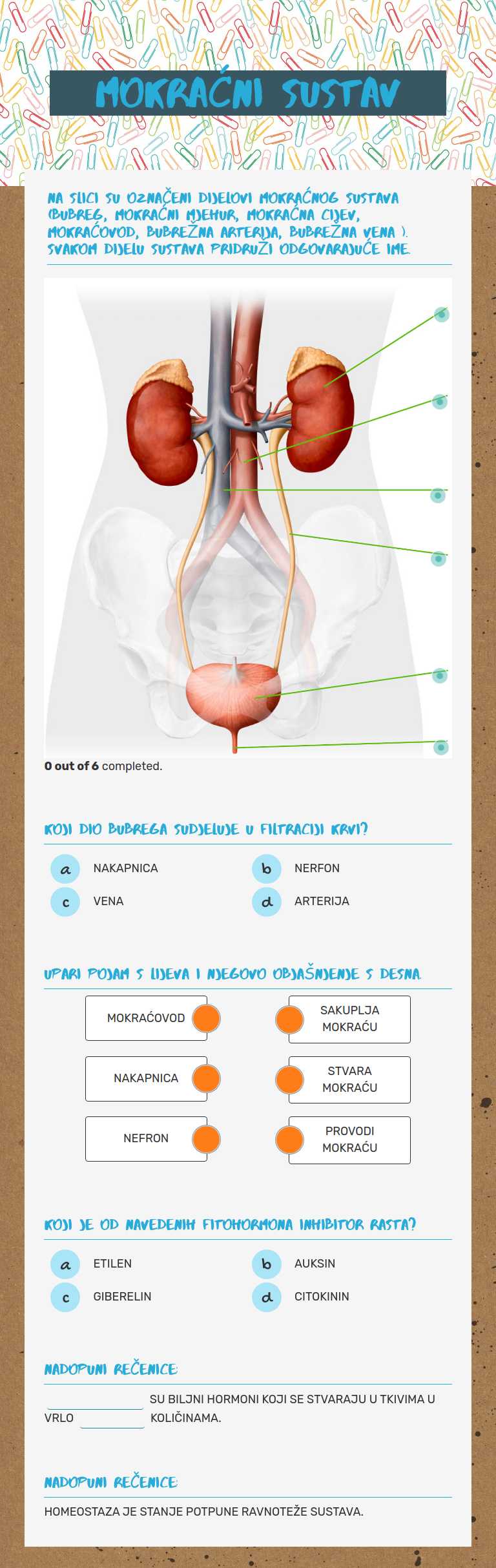 MOKRAĆNI SUSTAV worksheet preview image