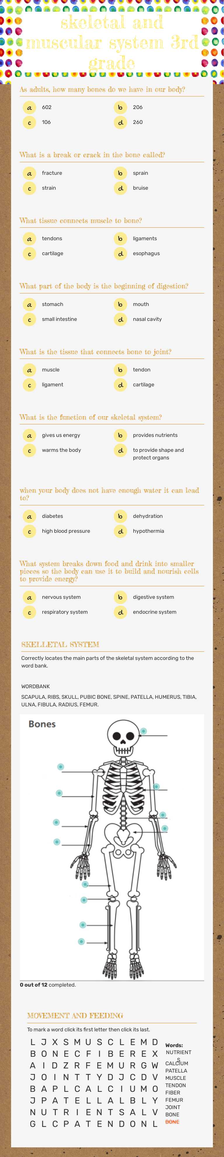 skeletal and muscular system 3rd grade worksheet preview image