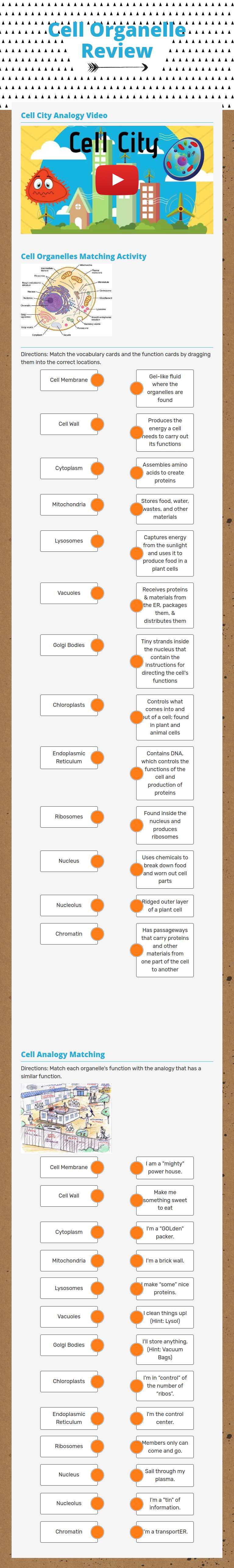 Cell Organelle Review worksheet preview image