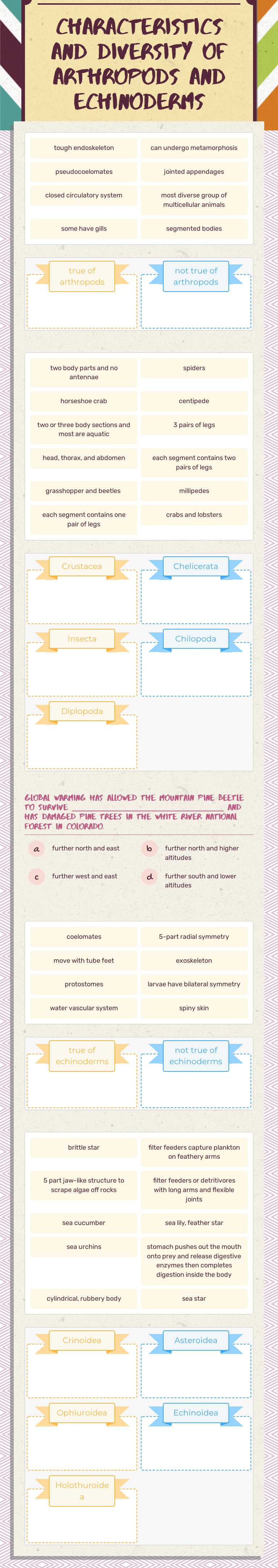 characteristics and diversity of arthropods and echinoderms worksheet preview image