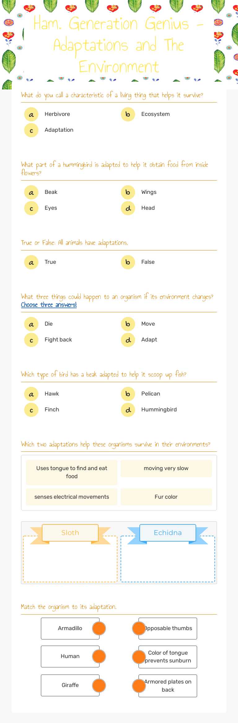 Ham. Generation Genius - Adaptations and The Environment worksheet preview image