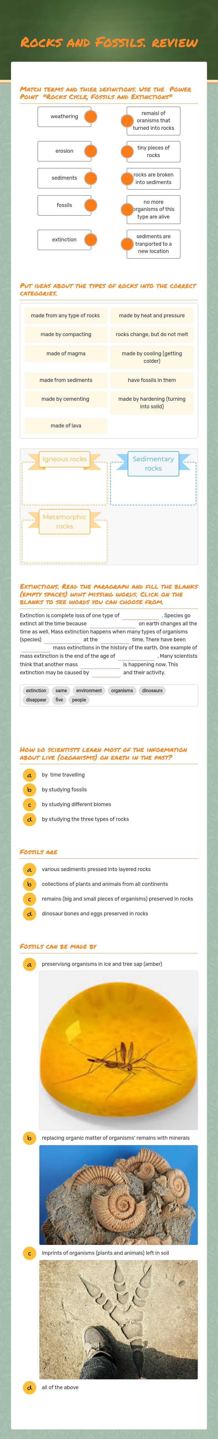 Rocks and Fossils. review worksheet preview image
