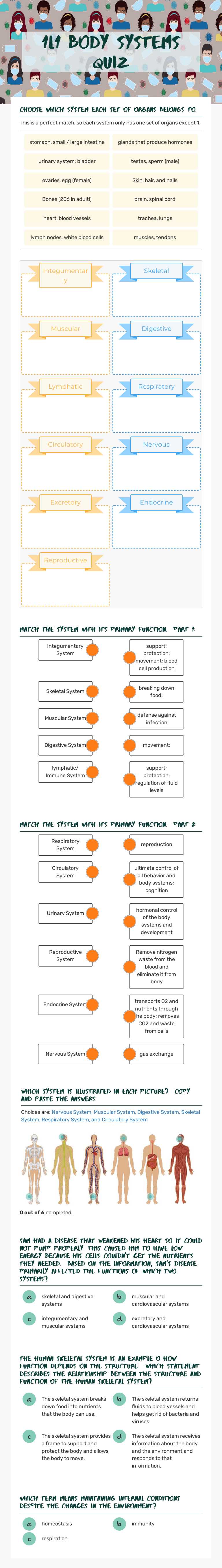 1L1 Body systems quiz worksheet preview image