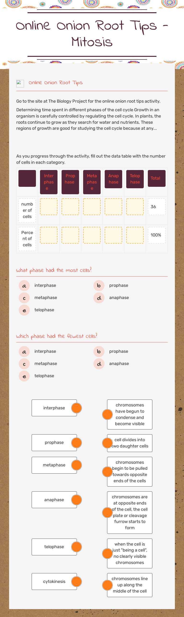 Online Onion Root Tips - Mitosis worksheet preview image