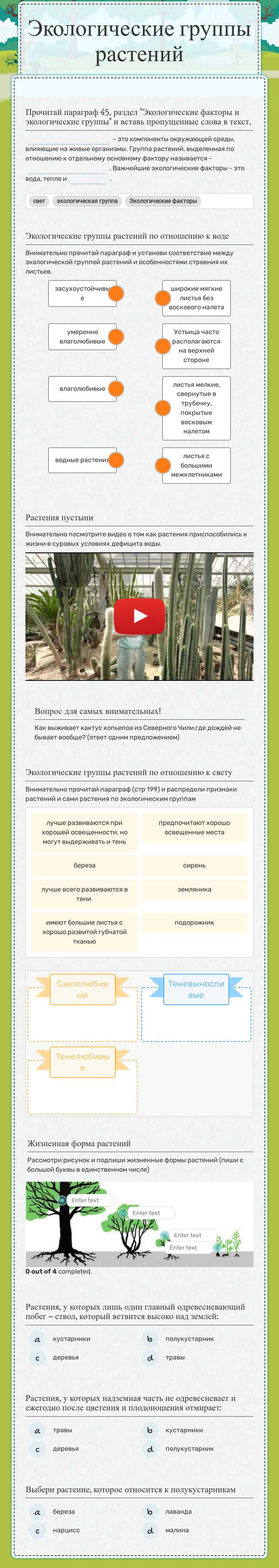 Экологические группы растений worksheet preview image