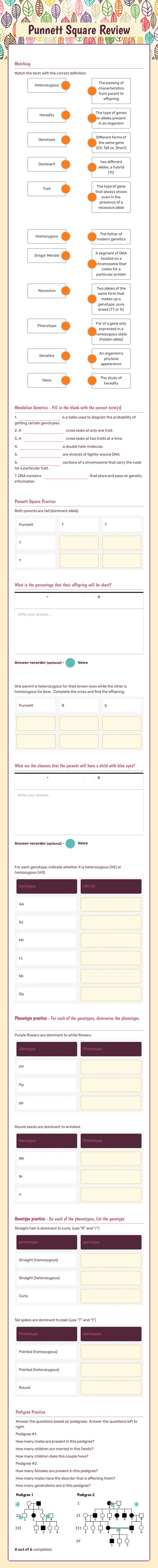 Punnett Square Review worksheet preview image