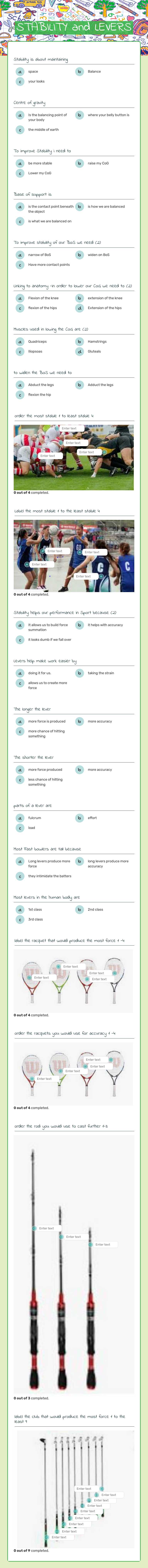 STABILITY and LEVERS worksheet preview image
