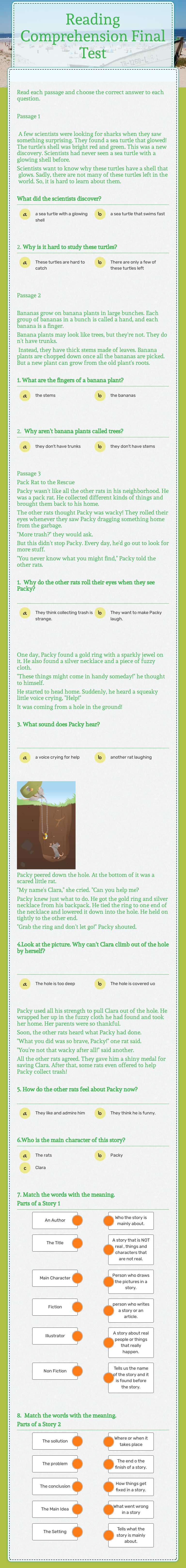 Reading Comprehension Final Test worksheet preview image