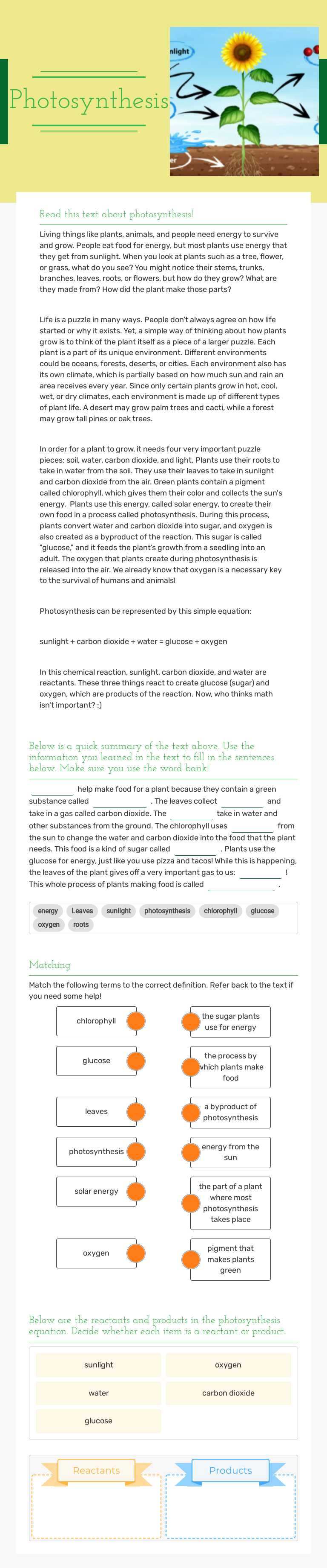 Photosynthesis worksheet preview image